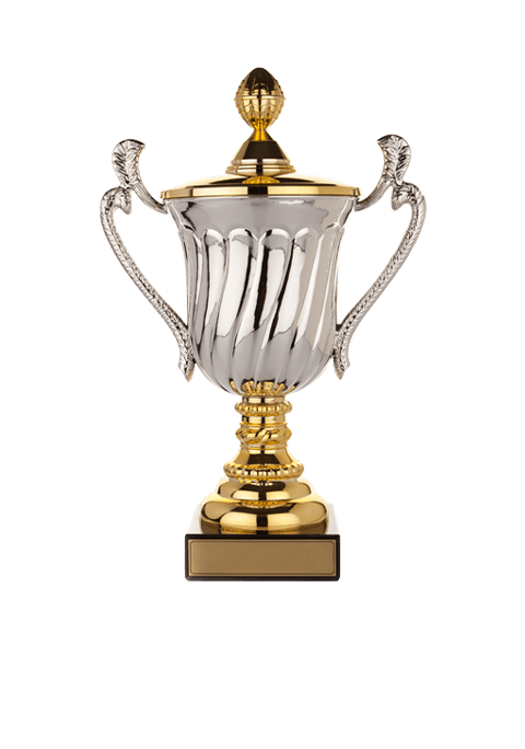 https://cpe2023.smartinglife.com/app/uploads/2022/11/trophy_02.png