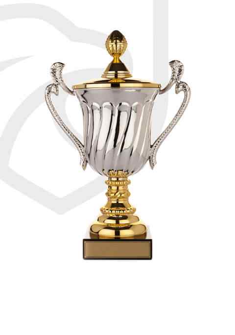 https://cpe2023.smartinglife.com/app/uploads/2022/11/trophy_overlay_02.jpg